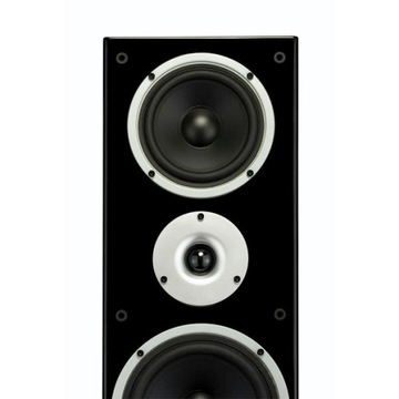 Динамики Wilson Raptor 9, черные, 220 Вт, пара