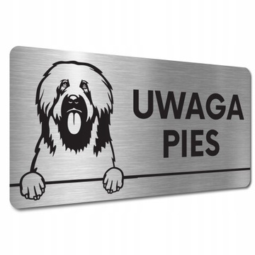 TABLICZKA UWAGA PIES ZŁY Owczarek francuski briard TABLICZKA UWAGA ZŁY PIES
