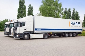 Палисад HESTRA 80 с бетонной кромкой POLBRUK