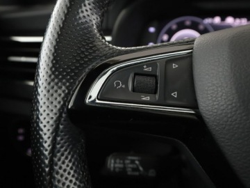 Skoda Kamiq Crossover 1.5 TSI 150KM 2020 Škoda Kamiq Skoda Kamiq Kamera, Automat, Navi,, zdjęcie 33