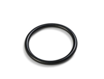 Uszczelka wlotowa silnika pompy piask. 10712 Intex
