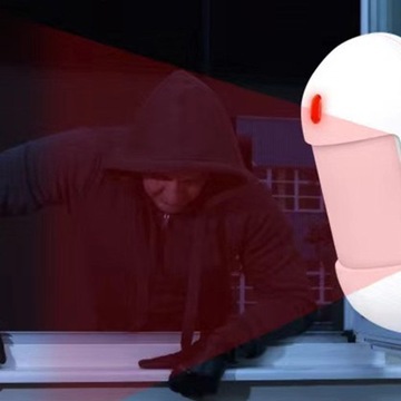 Противовзломная система для Туи с сигнализацией WiFi и GSM. Сигнализация с