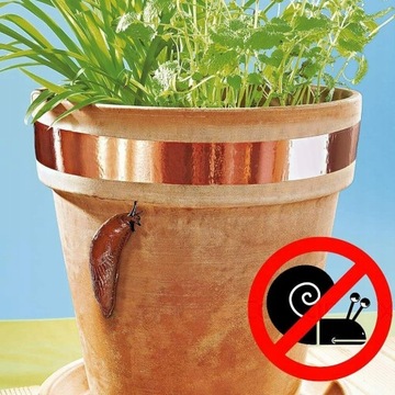 25 МЕТРОВ! МЕДНАЯ ПОЛОСКА ДЛЯ УЛИТОК 50мм 25м