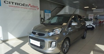 Kia Picanto II Hatchback 3d Facelifting 1.2 85KM 2016 Kia Picanto 1.2 XL Kia Picanto