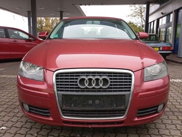 Audi A3 8P Hatchback 3d 1.6 FSI 115KM 2007 Audi A3 Sportback 1.6 benzyna CLIMATRONIC PIEKNY kolor bez rdzy 1.6 115KM, zdjęcie 28