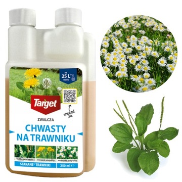 TARGET STARANE 250 ML OPRYSK ŚRODEK NA CHWASTY W TRAWIE BEZPIECZNY PREPARAT