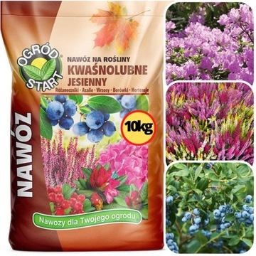 NAWÓZ JESIENNY DO BORÓWKI HORTENSJI RODODENDRONY ROŚLINY KWAŚNOLUBNE 10KG