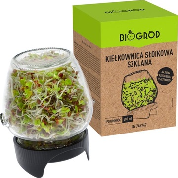 ПРУЖИННАЯ КОРОБКА 2 шт. ПРОРОШЕННЫЕ СЕМЯНА В СТЕКЛЯННОЙ БАНКЕ