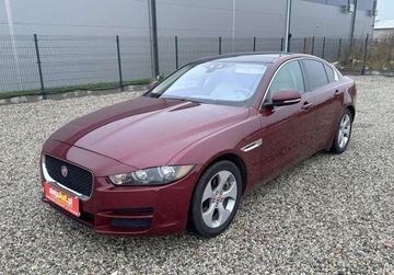 Jaguar XE Sedan 2.0 i4 200KM 2016 Jaguar XE 2.0 BENZ 200 KM 136.000 km Warszawa 2.0 Benzyna 200KM, zdjęcie 2