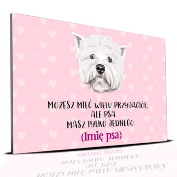 TABLICZKA RÓŻOWY 22X15CM WESTIE PSA MASZ TYLKO JEDNEGO PERSONALIZACJA IMIĘ