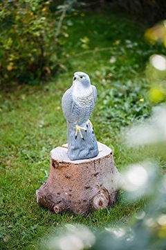 ОТПУСКАТЕЛЬ ПТИЦ СОКОЛ СТОЯЩИЕ ПТИЦЫ БОЯТСЯ ГОЛУБИ ЗАПАСНЫЕ НАЧИНКИ