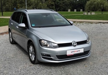 Volkswagen Golf VII Variant 1.6 TDI BlueMotion  110KM 2015 Volkswagen Golf 1,6 Tdi Navi Alufelgi Klimatronik Po oplatach z Niemi, zdjęcie 19