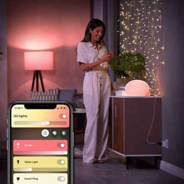 Интеллектуальная розетка Philips HUE Smart Plug 220-240В IP20 белая (CZ/SK)