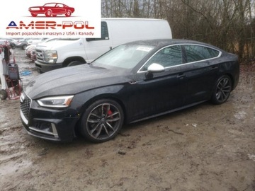 Audi A5 F5 2019 Audi S5 Coupe Prestige 3.0l 2019 3.0 Benzyna 349KM