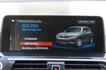 BMW X3 G01 SUV 2.0 20d 190KM 2019 BMW X3 2.0 Diesel 190 KM 4x4, Navi, Kamera, Adaptive LED, Polskora, GWARAN, zdjęcie 19