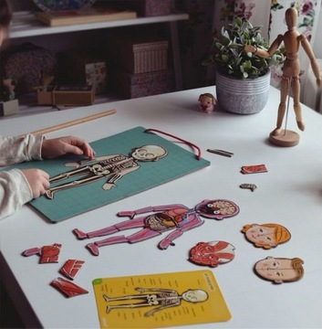 МАГНИТНАЯ ПАЗЛ ЧЕЛОВЕЧЕСКОЕ ТЕЛО 7+ ЯНОД