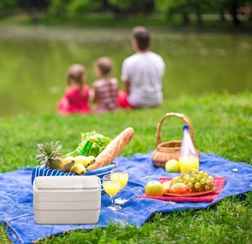 Ланч-бокс BENTO с отделениями 0,9 л