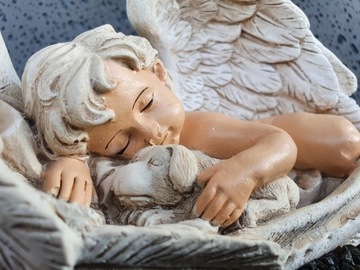 Пластырь Ангел Амур с Собакой и Собакой Animal XL