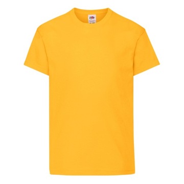 DZIECIĘCA KOSZULKA T-SHIRT FRUIT FC sunflower 164
