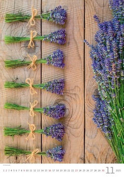 Календарь настенный - Прованс 2025, 31,5×45 см