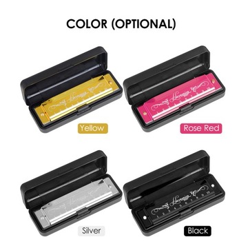 Ключ гармошки IRIN с 10 отверстиями для мюзикла C 20 Tone