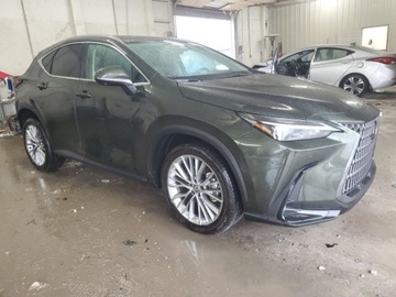 Lexus NX II 2025 Lexus NX 350h Base 2025 2.5l 2.5 Hybryda 240KM, zdjęcie 4