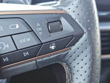 Cupra Formentor Crossover 1.5 TSI 150KM 2023 Cupra Formentor 1.5TSI 150KM DSG 2023 1WŁ, zdjęcie 17