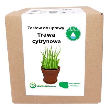 Zestaw do Uprawy zioła TRAWA CYTRYNOWA 90 nasion X
