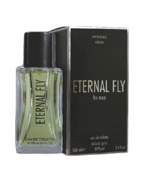 Perfumy męskie ETERNAL FLY 100ml EDT