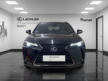 Lexus UX 2022 Lexus UX 250h GPF F Impression 2WD Lexus UX 250h G, zdjęcie 5