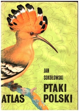 PTAKI POLSKI Atlas Jan Sokołowski twarda stan DB