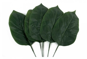 Liść zielony 26 cm 12 szt.
