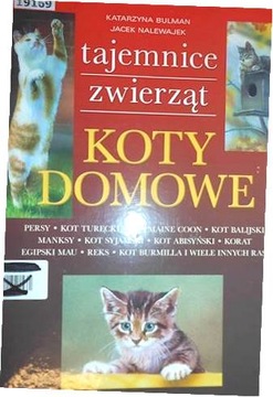 Koty domowe - Katarzyna Bulman