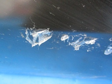 ДВЕРЬ ЗАДНЯЯ ЛЕВАЯ SMART FORFOUR НОВЫЙ ОРИГИНАЛ