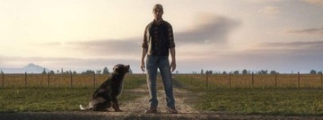 FARMING SIMULATOR 19 FARMING SIMULATOR 19 PC-DVD - НОВАЯ ФОЛЬГА