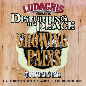 Ludacris - Growing Pains (Do It Again) (Remix) CDS