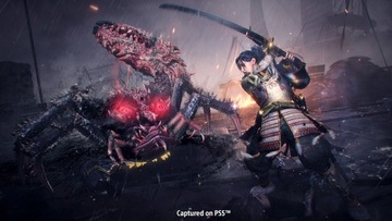 КОЛЛЕКЦИЯ NIOH / 2 ИГРЫ / НОВИНКА / PL / PS5