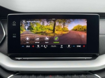 Skoda Octavia IV Scout 2.0 TDI 150KM 2022 Skoda Octavia 4x4, Smart Link, Panorama, Head-Up, fotele wentylowane, Matr, zdjęcie 28