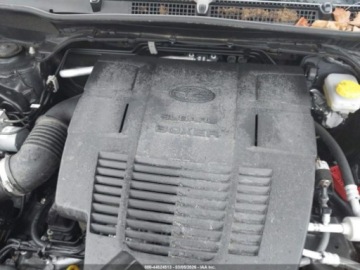 Subaru Forester VI 2024 Subaru Forester Wilderness 2024 2.5 Benzyna 182KM, zdjęcie 8