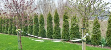 ЛЕНТА ДЛЯ ОТПУСКАНИЯ ПТИЦ 50 м