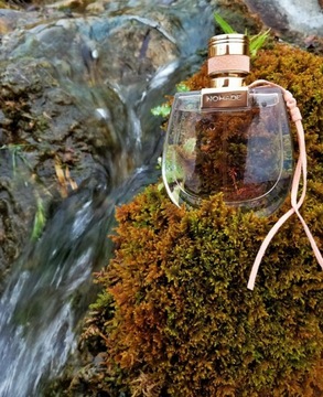 Chloe nomade edp 75ml оригинал f