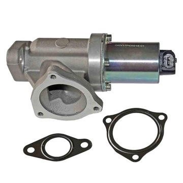 AP02 VENTIL EGR DO HYUNDAI I30 SONATA TUCSON 2.0 C