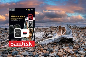Карта памяти SanDisk Extreme PRO microSDXC 256 ГБ 256 ГБ 200 МБ/с