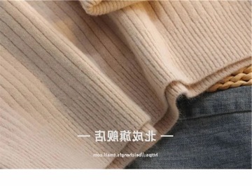 Loose Top 2023 Autumn/Winter New Thick Hooded Pull