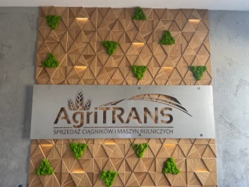 МОЗАИКА МОХ ОЛЕНЬЯ МОХ ИДЕЯ КАРТИНЫ ДЛЯ СОВРЕМЕННОЙ СТЕНЫ