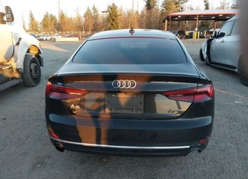 Audi A5 F5 2019 Audi A5 Limousine AUDI A5 45 PREMIUM 2.0 Benzyna 251KM, zdjęcie 3