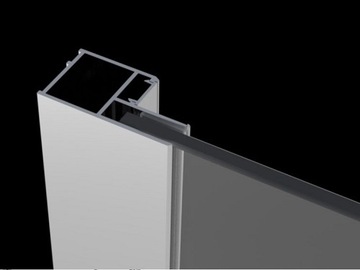 Душевая дверь Torrenta DWJS 160x195 RADAWAY