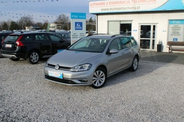 Volkswagen Golf VII Variant Facelifting 1.6 TDI-CR DPF BMT 115KM 2019 Volkswagen Golf Comfortline App Connect Gwarancja, zdjęcie 1