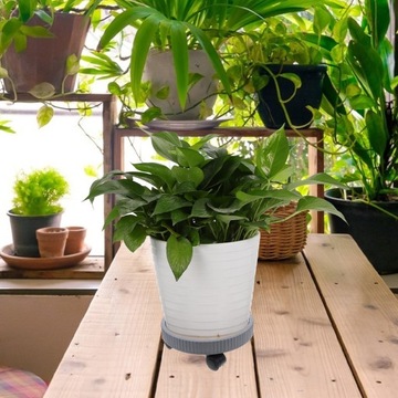 ПЛАСТИКОВЫЙ САДОВЫЙ ПОДНОС ПЛАСТИКОВЫЙ САДОВЫЙ ПОДНОС