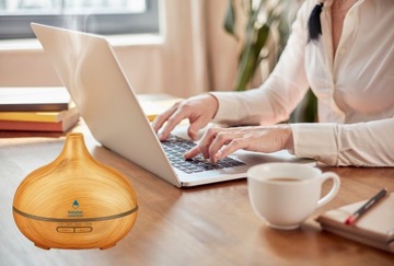 Ультразвуковой увлажнитель-диффузор Aroma Institute Яркий лук